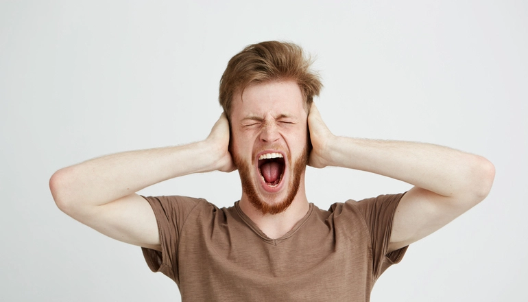 1.Procesamiento auditivo en entornos ruidosos: Nuevas...