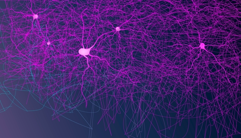 1.Neuroplasticidad auditiva: la sorprendente capacidad...