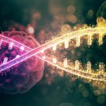 Pérdida auditiva hereditaria: la clave genética que puede...